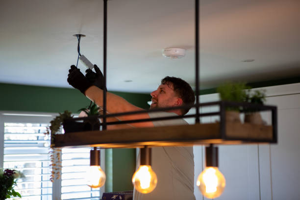 Best Electric Panel Repair  in Winnsboro Mills, SC